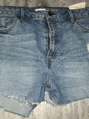 Unpublished Laine boyfriend shorts slouchy fit shorts size 32 NWOT